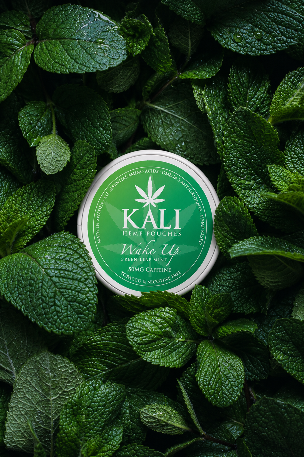Nikotinfritt snus – KALI Wake Up Hemp Pouches | Gröna Löv Mynta Örtig Ton+ Koffein