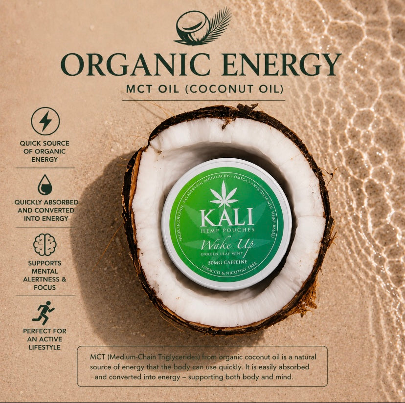 Nikotinfritt snus – KALI Wake Up Hemp Pouches | Gröna Löv Mynta Örtig Ton+ Koffein