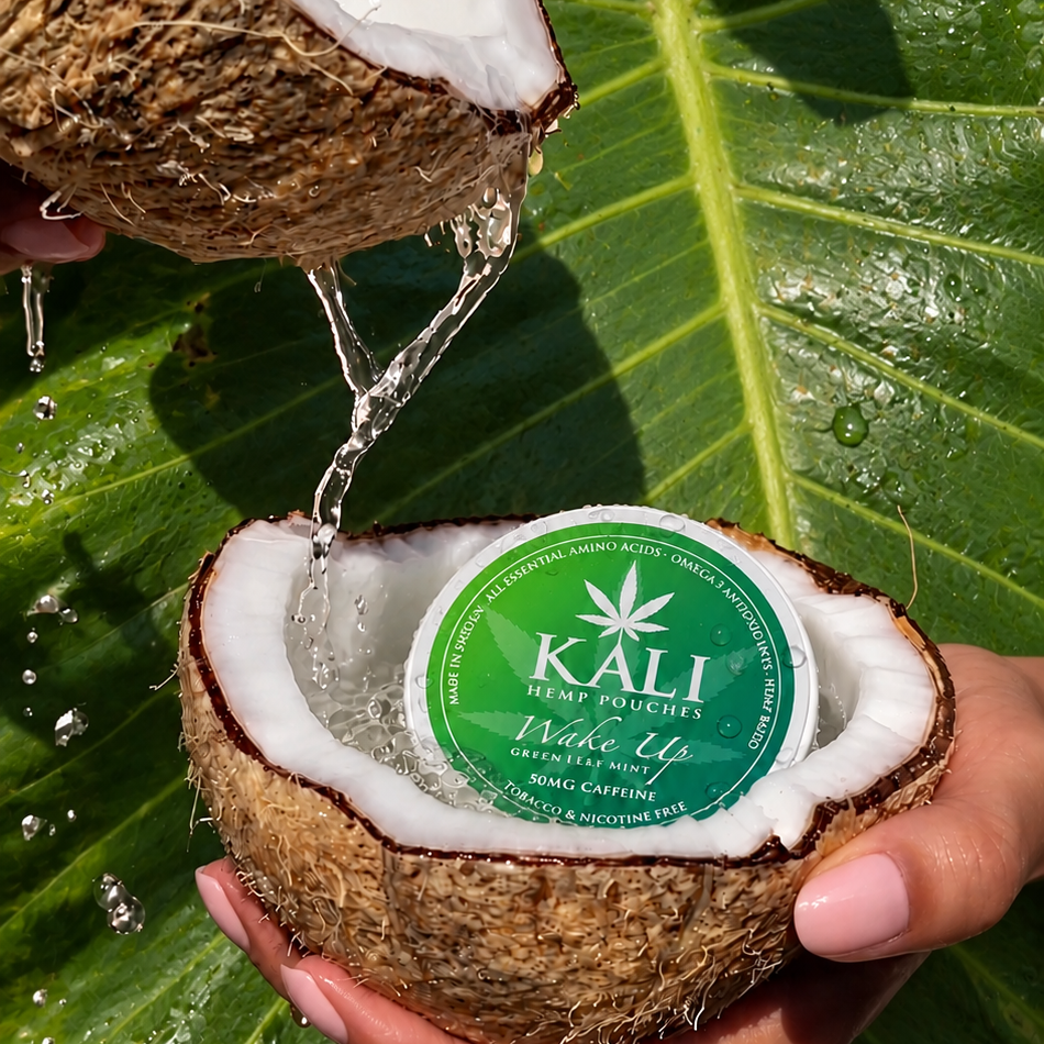 KALI Wake Up Energy Pouches – Green Leaf Mint | 50 mg Caffeine